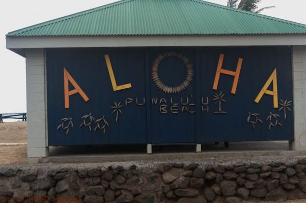 Punalu'u Black Sand Beach
