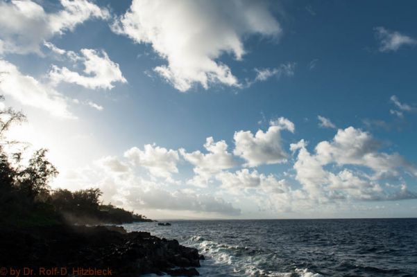 Hawaiian Paradise Park, Puna Coast
