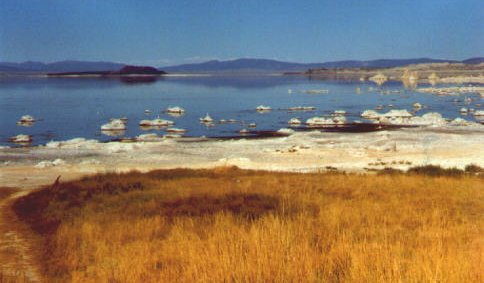 Mono Lake
Schlüsselwörter: Mono Lake, Kalifornien, USA