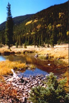 Colorado River Trail, Rocky Mountain NP
Schlüsselwörter: Colorado River Trail, Rocky Mountain NP, Colorado, USA