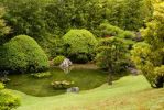 SFO - Japanese Tea Garden
