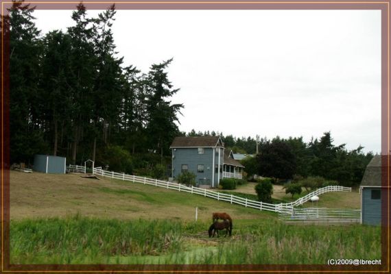 Auf dem Weg zur Olympia Halbinsel_WA, Idyll abseits der Strasse
