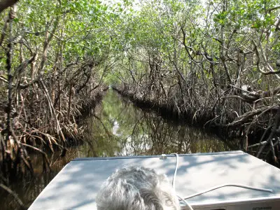 Everglades City, Airboat-Tour
