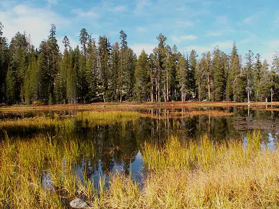 Siesta Lake
Der Siesta Lake, ein "Dying Pond", an der Tioga Road gelegen
Schlüsselwörter: Siesta Lake, Tioga Road, Yosemite
