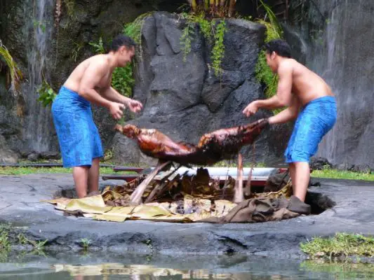Kalua Pig 
Zu einem richtigen Luau (hier im Polynesian Cultural Center) gehört auch das im Erdofen gegarte Kalua Pig.
Schlüsselwörter: PCC, Polynesian Cultural Center, Kalua Pig, Hawaii, 