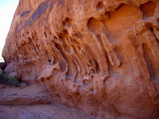Erosionsbilder
An den Sandsteinwänden bilden sich Erosionsmuster aus, die die Fantasie anregen.
