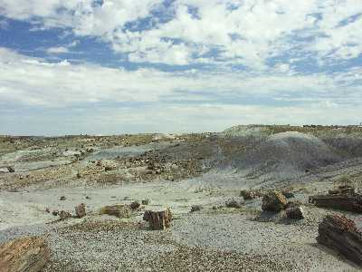 18a
Petrified Forest 1
