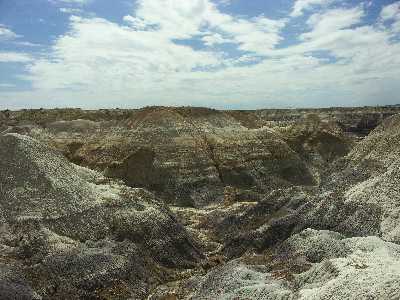 18c
Petrified Forest 3
