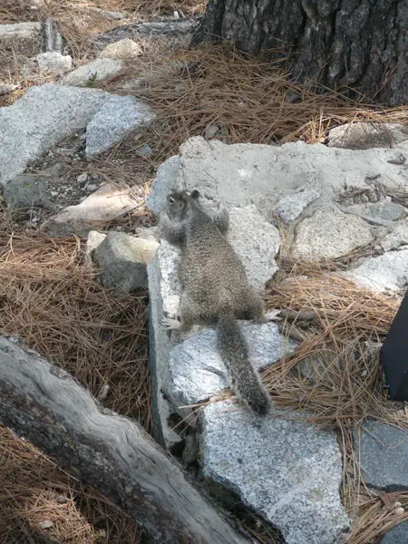 Galerie - Fotogalerie usa-reise.de