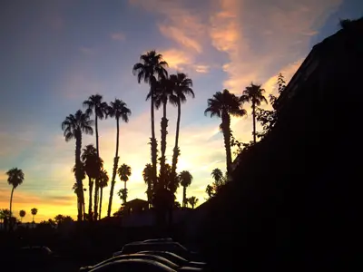 Palm Springs
