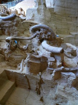 Mammoth Site in Hot Springs, South Dakota
