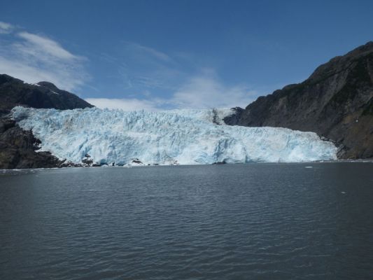 Whale Watching Major Marine Tours
