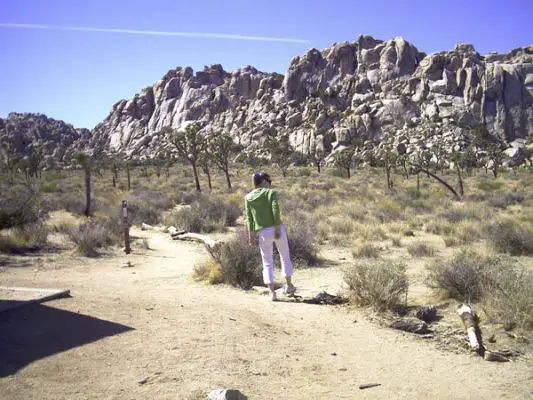 Joshua Tree NP
