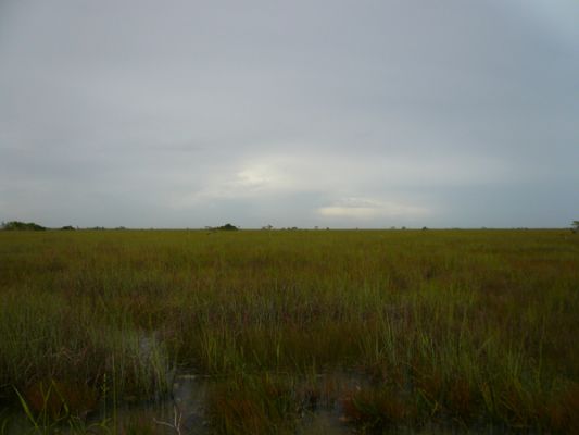 Everglades NP
