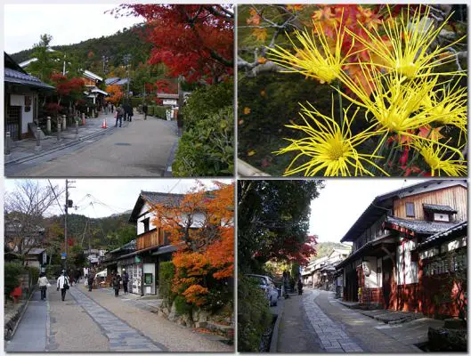 Arashiyama16.jpg