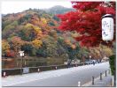 Arashiyama02.jpg