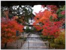Arashiyama04.jpg
