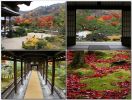 Arashiyama05.jpg