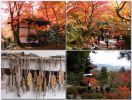 Arashiyama11.jpg