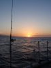 Maui Sunset Sailing Paragon Catamaran
