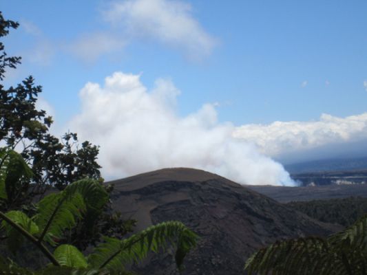 Blick auf Halema'uma'u Krater
Aussicht vom Kilauea Iki auf Halema'uma'u Krater
