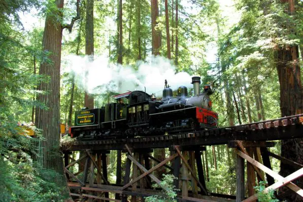 Roaring Camp Railroads
Schlüsselwörter: santa cruz, californien, kalifornien, railroad, eisenbahn, dampf, redwoods