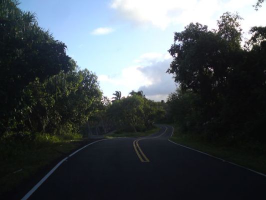 Puna Coast
