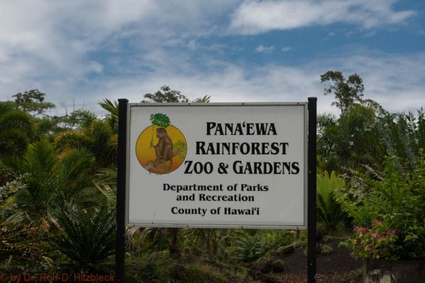 Pana'ewa Rainforest Zoo, Hilo
