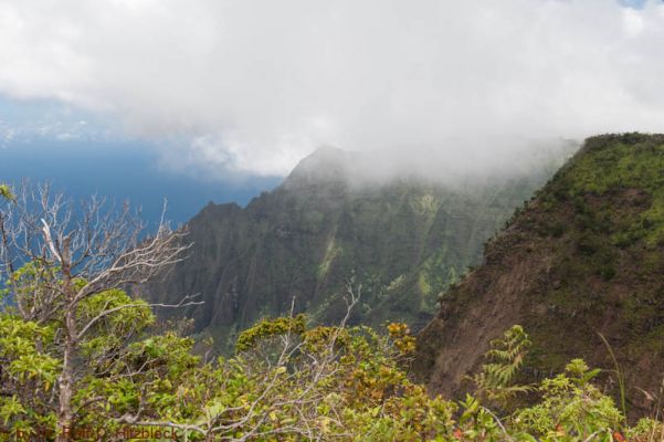 Koke'e State Park
