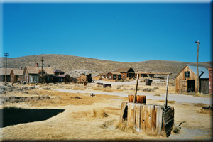 Bodie
