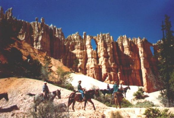 Reiter auf dem Peek A Boo Loop
Schlüsselwörter: Reiter, Pferde, Peek A Boo Loop, Bryce Canyon, Utah, USA