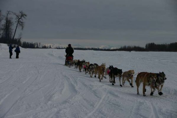 Dogteam auf dem Weg zum Yetna Checkpoint
Schlüsselwörter: Alaska, Iditarod