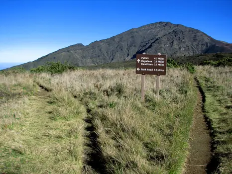 Sliding Sands Trail
