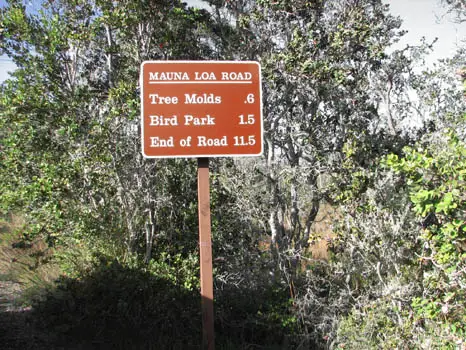 Mauna Loa Road
