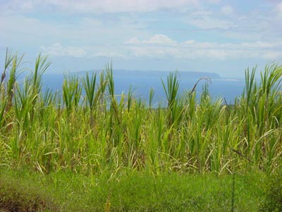 die "verbotene" Insel Ni'ihau
