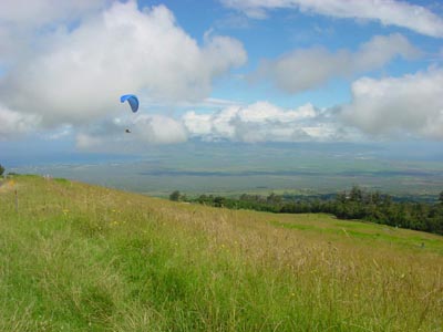 Paragleiter an der Waipoli Road
