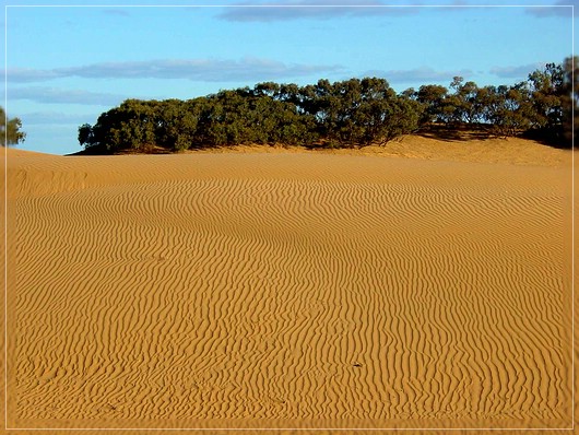 Perry Sand Hills
