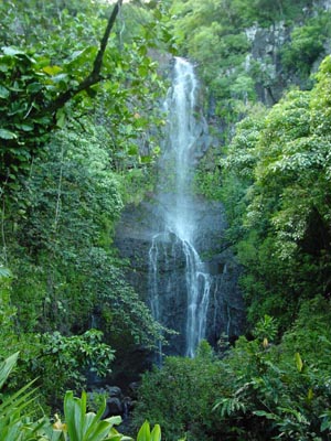 Wasserfall neben dem Pi'ilani Hwy.
