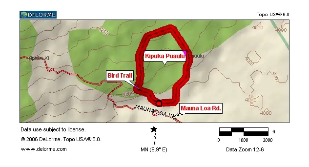 Big Island - Bird Trail
