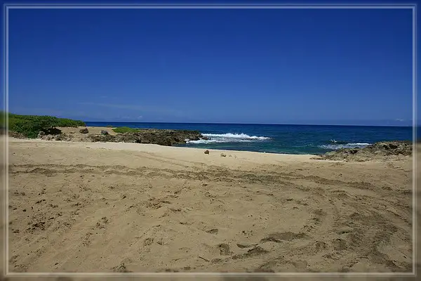 Ka'ena Point Trail
