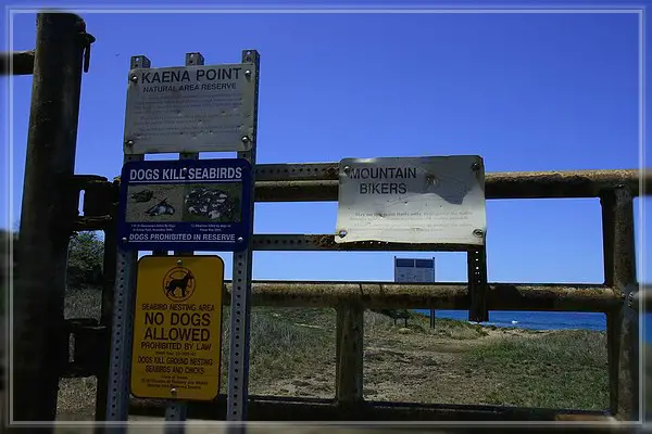 Ka'ena Point Trail
