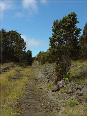 Big Island, Powerline Trail
