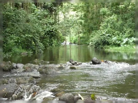 Big Island, Waipi'o Valley
