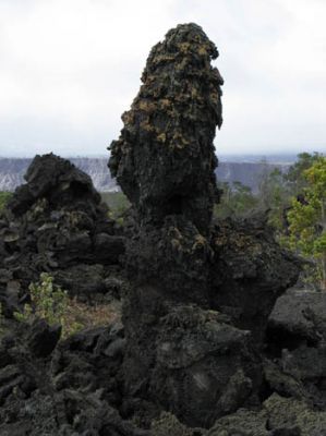 Lava Tree
