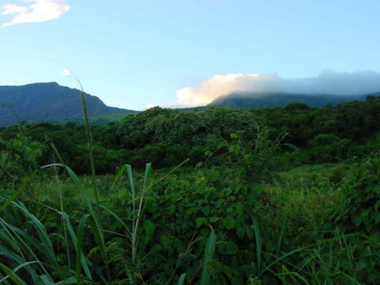 Pi'ilani Hwy.
