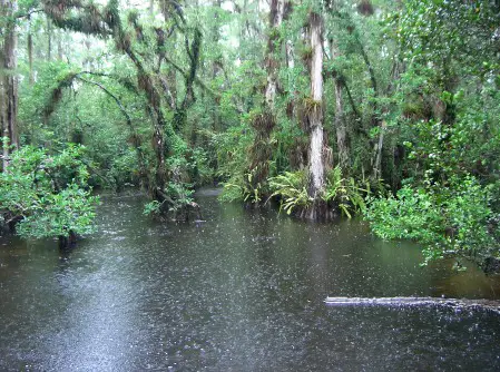 Der Loop Everglades
