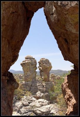 Chiricahua01~0.jpg