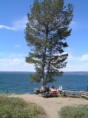 picnic at yellowstone lake
