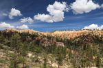 Bryce Canyon N.P.