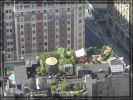 Green roof Manhattan